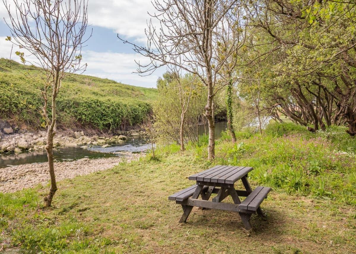 فندق Seadown Park شارموث المظهر الخارجي الصورة